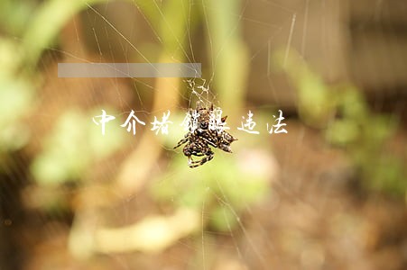中介堵锁眼违法