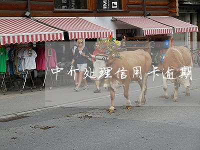 中介处理信用卡逾期