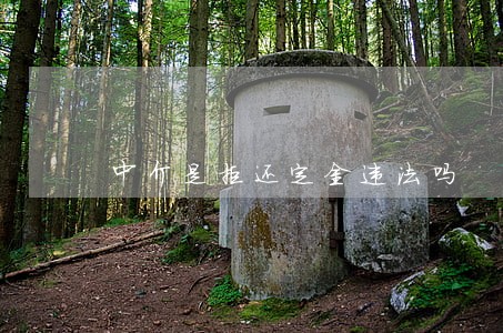 中介是拒还定金违法吗 中介是拒还定金违法吗