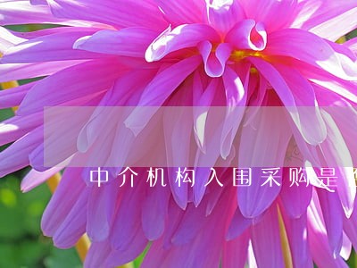 中介机构入围采购是否违法 中介机构入围采购是否违法