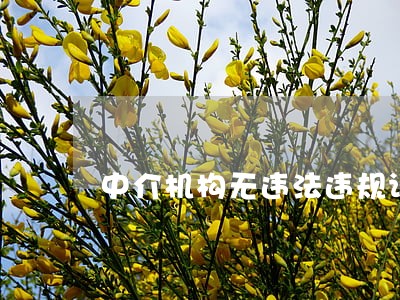 中介机构无违法违规证明 中介机构无违法违规证明