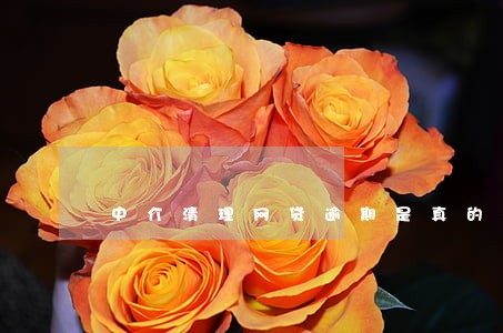 中介清理网贷逾期是真的吗 中介清理网贷逾期是真的吗