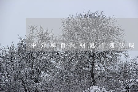 中介私自配钥匙不违法吗 中介私自配钥匙不违法吗