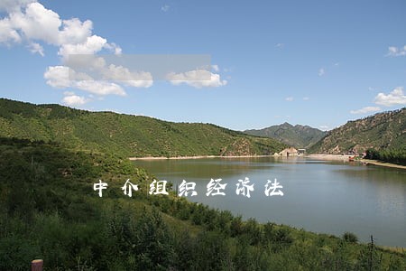 中介组织经济法