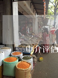 中介评估机构违法法律责任追究 中介评估机构违法法律责任追究