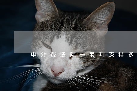 中介费法院一般判支持多少