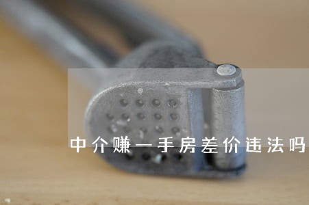 中介赚一手房差价违法吗