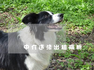中介违法出租隔断 中介违法出租隔断