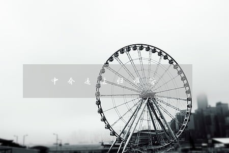 中介违法归谁管