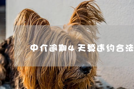 中介逾期4天算违约合法么 中介逾期4天算违约合法么