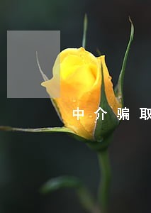 中介骗取他人返费算不算违法