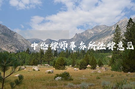 中伦律师事务所法律意见书 中伦律师事务所法律意见书