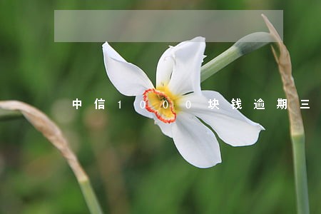 中信1000块钱逾期三个月 中信1000块钱逾期三个月
