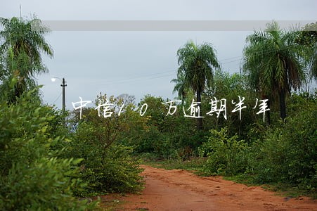 中信10万逾期半年