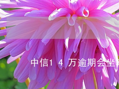 中信14万逾期会坐牢吗 中信14万逾期会坐牢吗