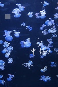 中信1500逾期 中信1500逾期