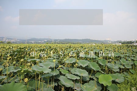 中信15万逾期协商 中信15万逾期协商