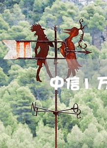 中信1万6逾期 中信1万6逾期