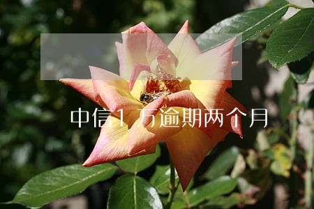 中信1万逾期两个月 中信1万逾期两个月