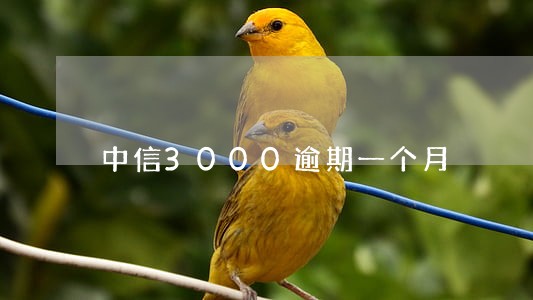 中信3000逾期一个月 中信3000逾期一个月