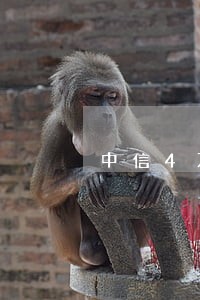 中信4万逾期还不起怎么办 中信4万逾期还不起怎么办