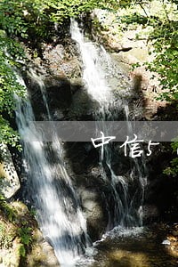 中信5000元逾期 中信5000元逾期