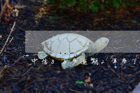 中信8万多逾期2年多了 中信8万多逾期2年多了