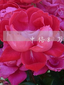 中信8万逾期 中信8万逾期