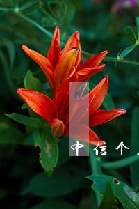 中信个人贷款逾期3000多 中信个人贷款逾期3000多