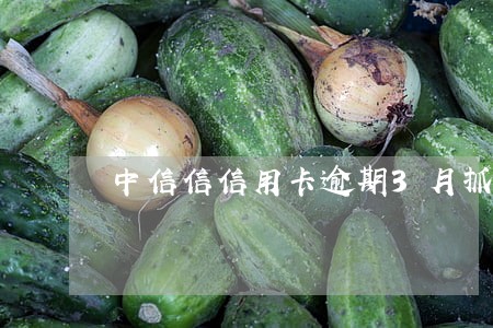 中信信信用卡逾期3月抓捕 中信信信用卡逾期3月抓捕