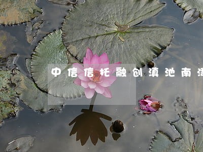 中信信托融创滇池南湾逾期 中信信托融创滇池南湾逾期