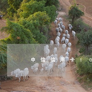 中信信用卡10000逾期2年多 中信信用卡10000逾期2年多