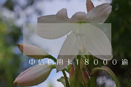 中信信用卡18000逾期三年 中信信用卡18000逾期三年