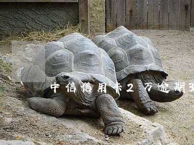 中信信用卡2万逾期3个月 中信信用卡2万逾期3个月