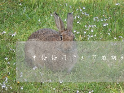 中信信用卡3万逾期3个月 中信信用卡3万逾期3个月