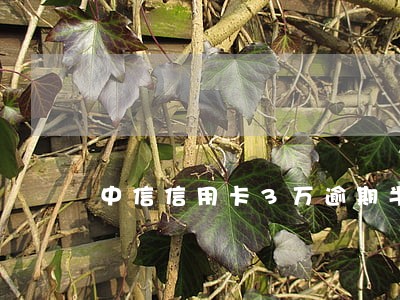 中信信用卡3万逾期半年 中信信用卡3万逾期半年