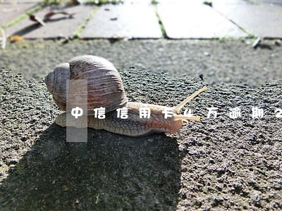 中信信用卡4万逾期2个月 中信信用卡4万逾期2个月