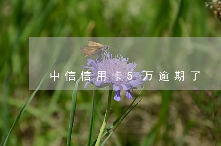 中信信用卡5万逾期了