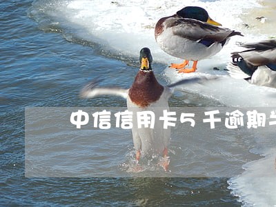 中信信用卡5千逾期半年 中信信用卡5千逾期半年