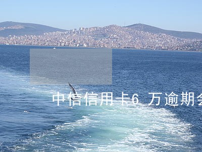 中信信用卡6万逾期会坐牢吗 中信信用卡6万逾期会坐牢吗
