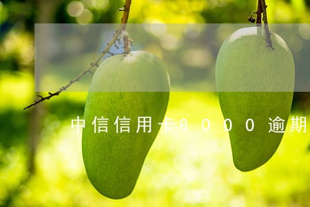 中信信用卡8000逾期四年 中信信用卡8000逾期四年