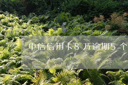 中信信用卡8万逾期5个月 中信信用卡8万逾期5个月
