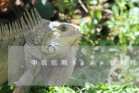 中信信用卡app逾期时间 中信信用卡app逾期时间
