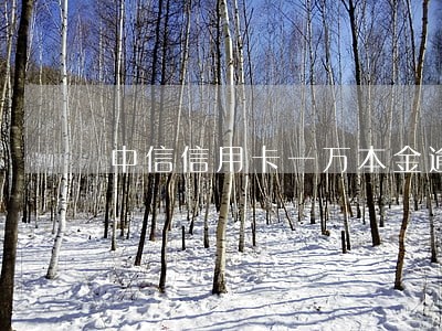 中信信用卡一万本金逾期4年