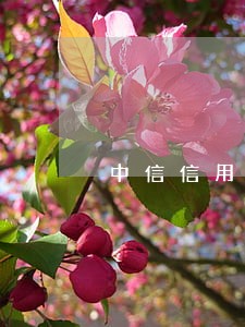 中信信用卡一般逾期多久会封卡 中信信用卡一般逾期多久会封卡