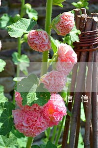 中信信用卡严重逾期半年 中信信用卡严重逾期半年