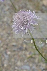 中信信用卡严重逾期暂停服务 中信信用卡严重逾期暂停服务