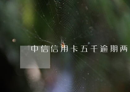 中信信用卡五千逾期两个月