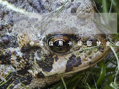 中信信用卡信圆梦金逾期