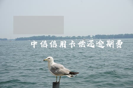 中信信用卡偿还逾期费 中信信用卡偿还逾期费